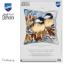 Cuscino - Cinciallegre in inverno