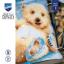 Cuscino - Piccolo orso polare