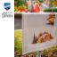 Runner - Villaggio invernale