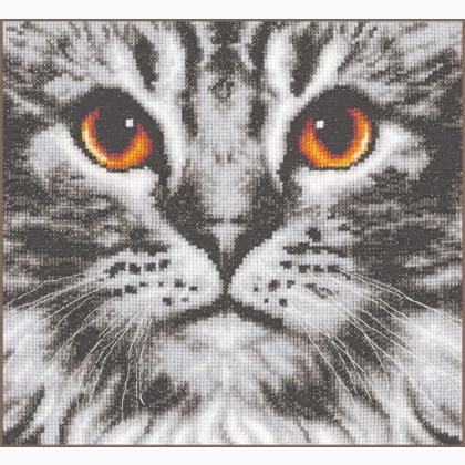 Primo piano del gatto