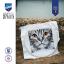 Primo piano del gatto