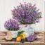 Profumo di lavanda