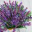 Profumo di lavanda