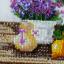 Profumo di lavanda