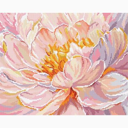 Grazia Florale