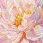 Grazia Florale