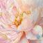 Grazia Florale