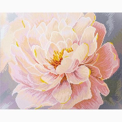 Grazia Florale - Con cornice