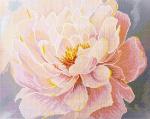 Grazia Florale - Con cornice