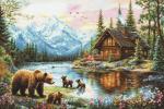 Cubs’ Adventure