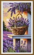 Sogno di lavanda