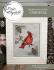 Birds in Nature - Cardinal