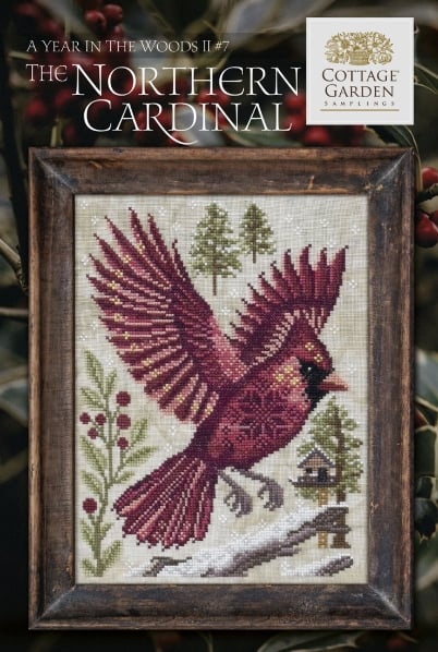 A Year In The Woods II - 7 - The Northern Cardinal