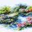 The Water Lily Pond