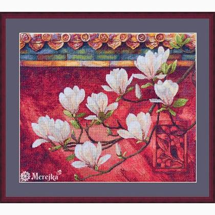 Magnolia