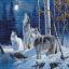 The Howl of Wolves and the Winter Moon