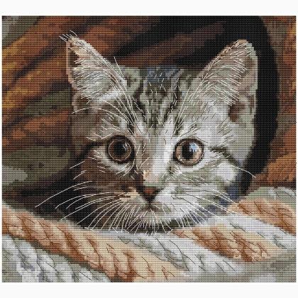 Whiskered Spy