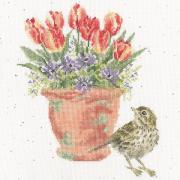 The Meadow Pipit