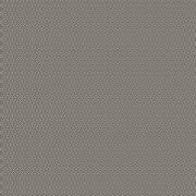 Poppy Seed Charcoal