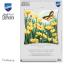 Cuscino - Farfalla e fiori gialli
