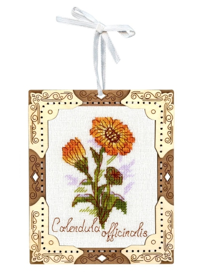 Miniature - Calendula