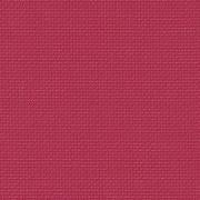 Aida 55 (14ct.) Rosa lampone