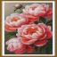 Peonie lussureggianti