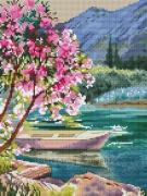 Mattina in rosa