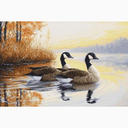Autumn Reflections - Mezzopunto