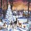 Bosco di Natale