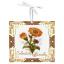 Miniature - Calendula