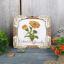 Miniature - Calendula