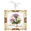 Miniature - Valeriana