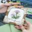 Miniature - Valeriana