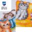 Gattini e libri