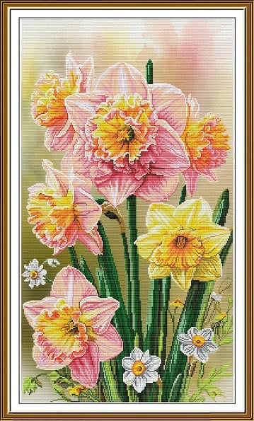 Narcisi soleggiati