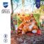 Cuscino - Gattino dolce