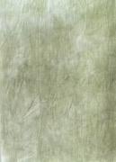 Lino 36 ct - Evergreen