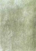 Lino 40 ct - Evergreen