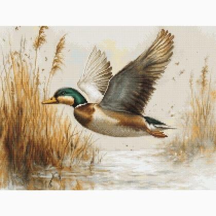 Volo dorato
