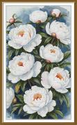 Peonie imperiali