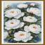Peonie imperiali