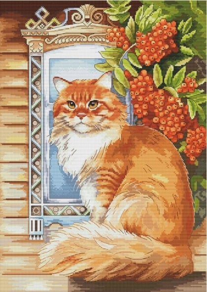 The Rufous Master