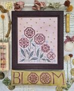 Blooming Quakers