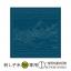 Sashiko Olympus - Hana-Fukin 2097