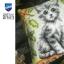 Cuscino - Gattino