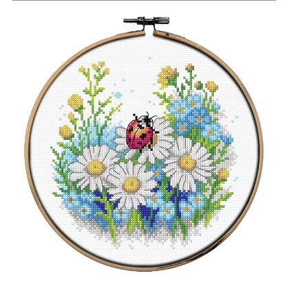 Coccinella