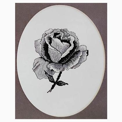 Black Rose