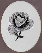 Black Rose
