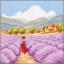 Paesaggio di lavanda in Provenza